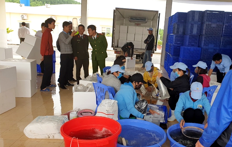 Công ty TNHH Việt Úc - Quảng Ninh hiện có 75 cán bộ, nhân viên, hoạt động trong lĩnh vực nuôi trồng thủy sản. (Ảnh chụp đầu tháng 3/2020)