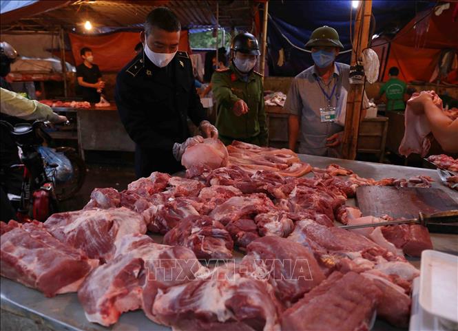 Lực lượng chức năng kiểm tra việc kinh doanh thịt lợn tại chợ đầu mối Minh Khai (Hà Nội), ngày 21/4. Ảnh: Vũ Sinh/TTXVN