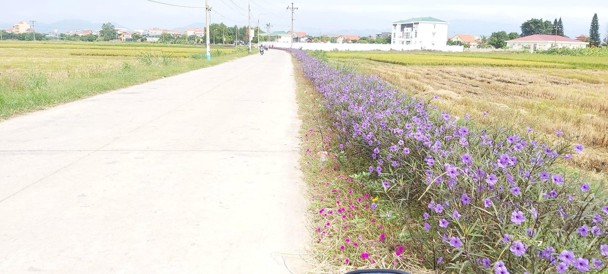 Đường nông thôn sạch-đẹp ở phường Hưng Đạo, TX Đông Triều.