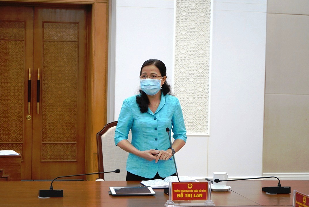 Trường Đoàn ĐBQH tỉnh Đỗ Thị Lan phát biểu tại cuộc họp.