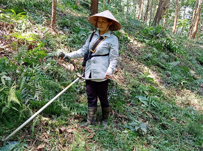 Người dân xã Đồng Sơn tham gia phát triển kinh tế rừng.