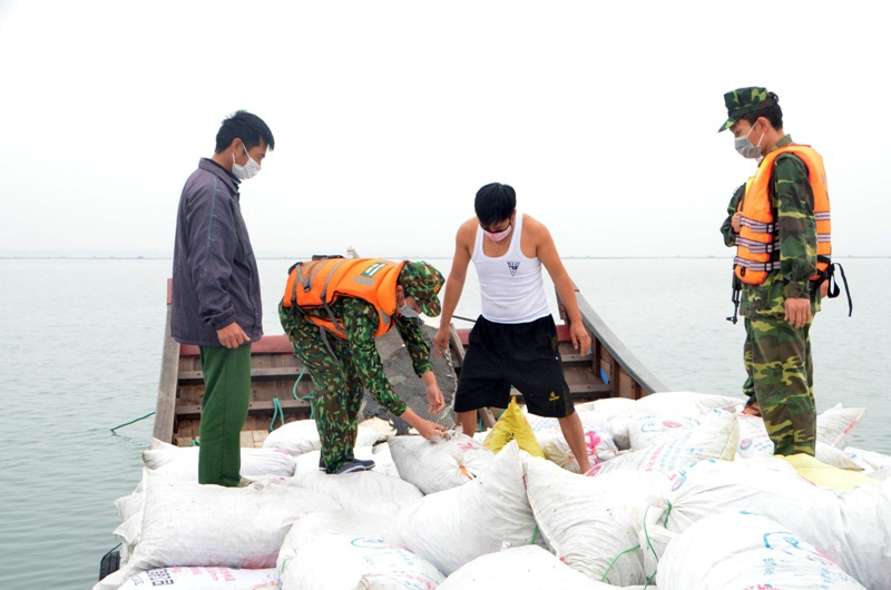 20 tấn ốc điếu vận chuyển trái phép bị CBCS Đồn biên phòng Trà Cổ bắt giữ ngày 10/4 tại khu vực biển phường Trà Cổ.