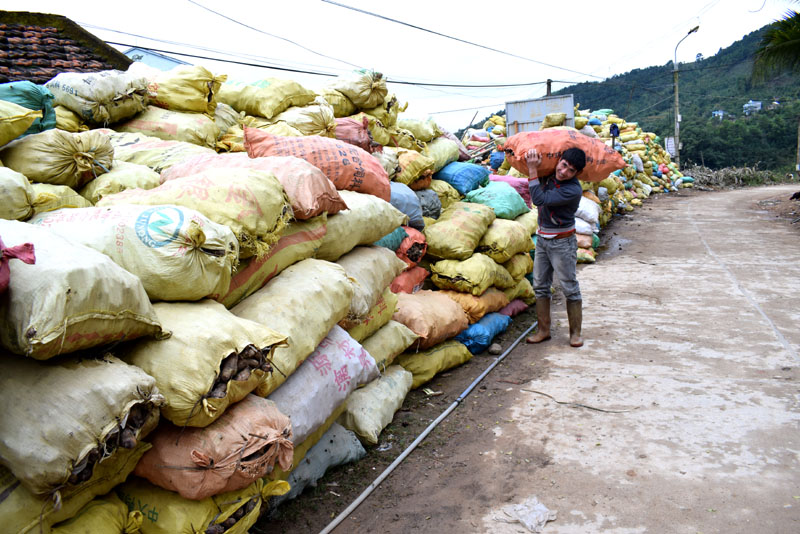Cơ sở sản xuất miến dong của ông La A Chiu ( thôn Nà Ếch, xã Húc Động) bao tiêu sản phẩm củ dong cho bà con trong xã . Ảnh: Công Thành (chụp tháng 7/2019)