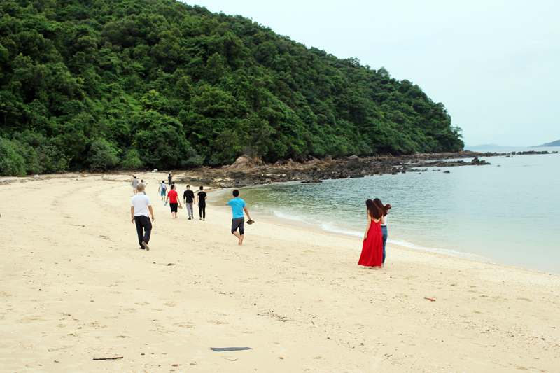 Đảo Đá Dựng, xã Đầm Hà, huyện Đầm Hà– hòn đảo còn nguyên nét hoang sơ với diện tích hơn 60ha. Nơi đây là quần thể đảo đá, đất cùng rừng nguyên sinh và bãi tắm mang vẻ đẹp tự nhiên làm say đắm lòng người. 