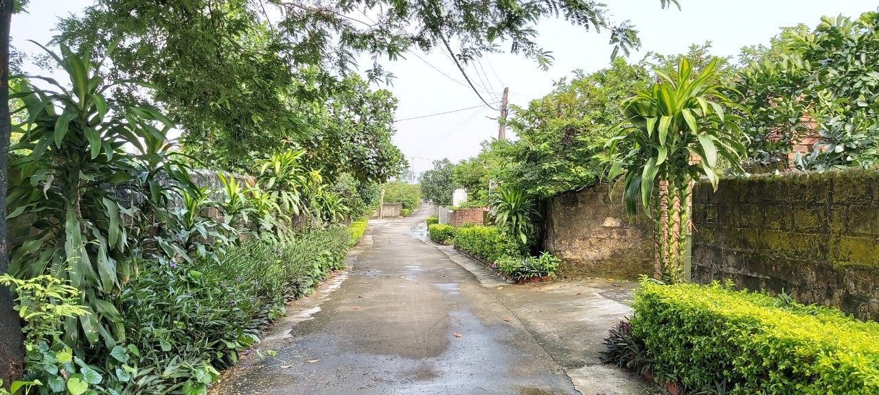Những con đường thôn xóm của xã Việt Dân luôn sạch đẹp.