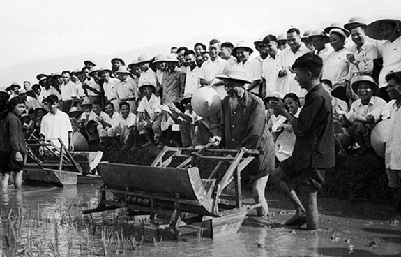 Chủ tịch Hồ Chí Minh đến thăm Sở Nông Lâm Hà Nội và sử dụng thử chiếc máy cấy tại ruộng thí nghiệm của Sở (7-1960). Ảnh minh họa/nguồn TTXVN.