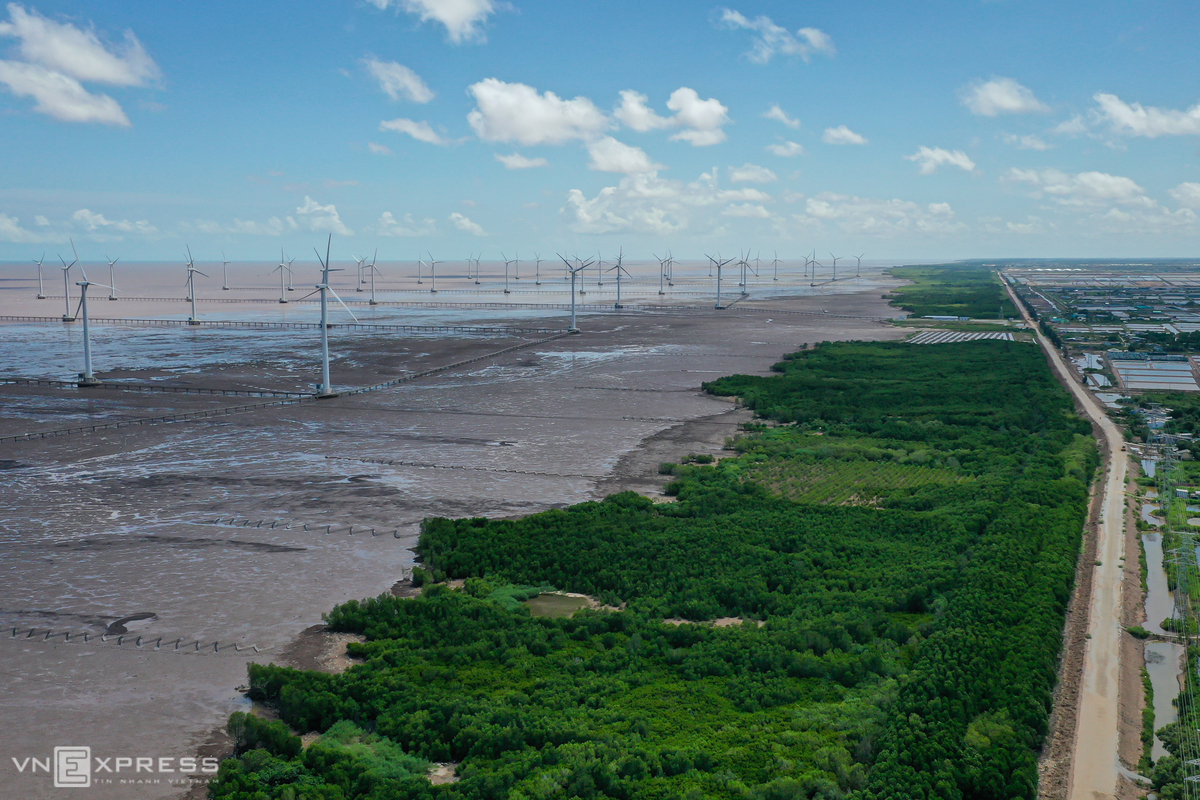 Các cột tháp và turbine điện gió của nhà máy đều được đặt trên bờ biển. Phía trong là khu rừng phòng hộ tạo khung cảnh xanh mát, trong lành.