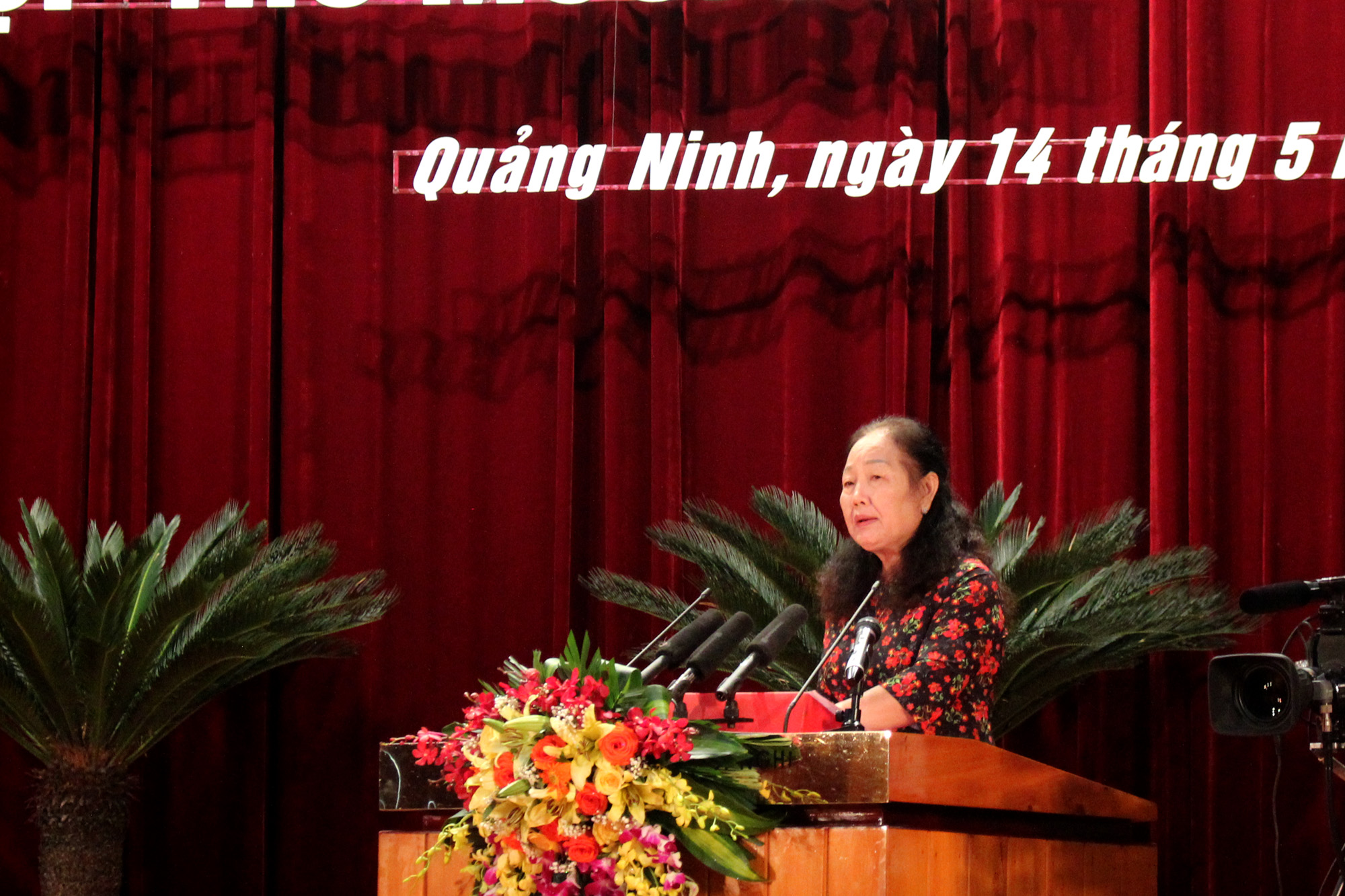 Bà Nguyễn Thị Bảo, Chủ tịch Hiệp hội Du lịch Quảng Ninh tham gia ý kiến về Dự thảo Nghị quyết các giải pháp hỗ trợ kích cầu du lịch Quảng Ninh. (Ảnh: Thu Chung)