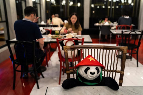 Người bạn dễ thương dùng bữa cùng thực khách tại nhà hàng Việt Maison Saigon - Ảnh: Reuters