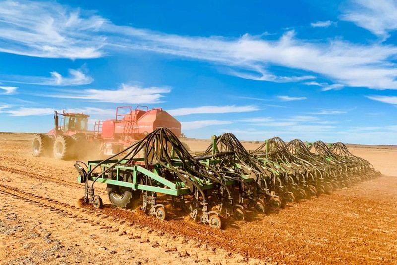 Nông dân tại bang Tây Australia đã giảm diện tích trồng lúa mạch sau khi biết tin Trung Quốc lên kế hoạch áp thuế chống bán phá giá. Nguồn ABC Rural.