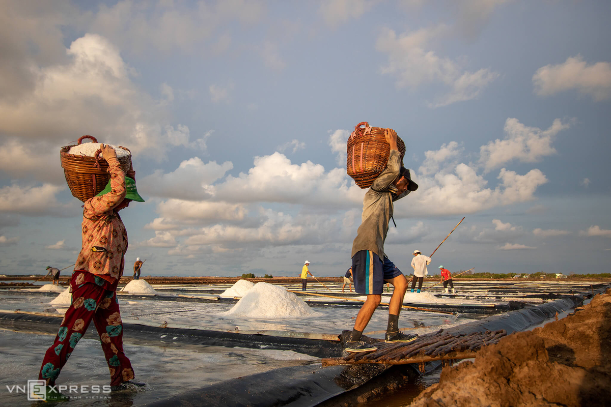 Ở Đông Hải, cả đàn ông và phụ nữ đều tham gia vác muối. 