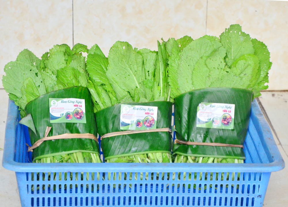 Sản phẩm rau cải trồng theo hướng hữu cơ của trang trại Tuyết Tuyết Farm (TP Hạ Long)  bán tại các cửa hàng rau an toàn trên địa bàn TP Hạ Long.