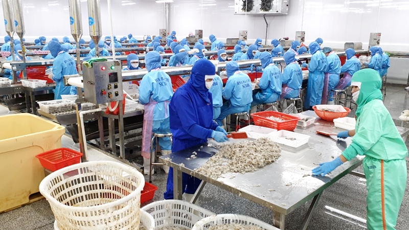 Công ty CP thủy sản BNA tại CCN Nam Sơn (Ba Chẽ) khôi phục sản xuất sau dịch Covid-19.