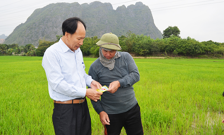 Cán bộ Chi cục Trồng trọt và BVTV tỉnh hướng dẫn nông dân Hạ Long sử dụng thuốc theo 