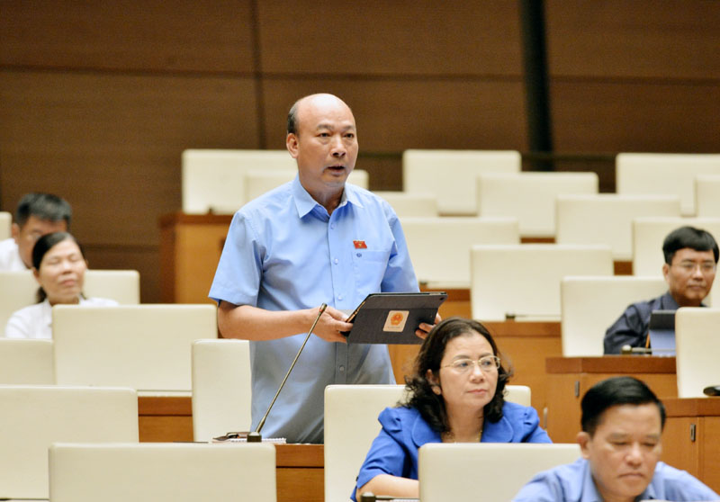 Đại biểu Lê Minh Chuẩn phát biểu tại phiên họp. 