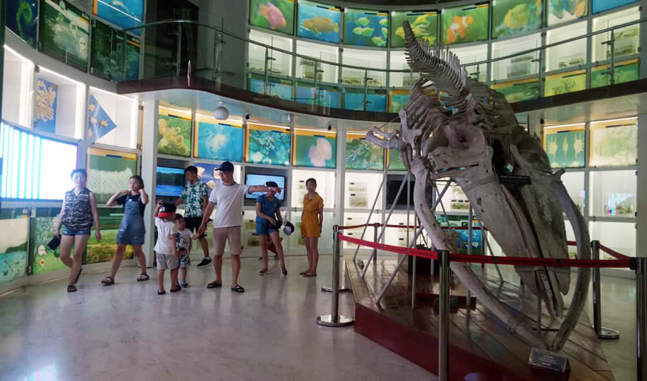 Du khách đến tham quan Bảo tàng Quảng Ninh.