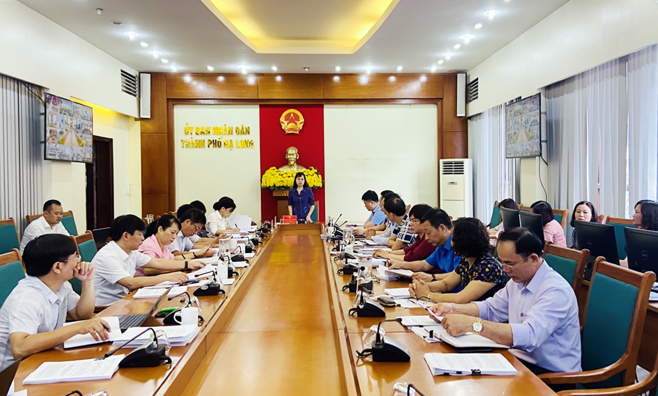 Đồng chí Trịnh Thị Minh Thanh, Phó Chủ tịch Thường trực HĐND tỉnh phát biểu kết luận cuộc họp. 