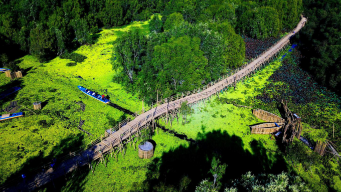 Giai đoạn 1 của cây cầu tre dài 4 km đã hoàn thiện và đưa vào khai thác hồi đầu năm, cho du khách thỏa thích khám phá vẻ đẹp nguyên sinh ở Trà Sư. Ảnh: Văn Dương.