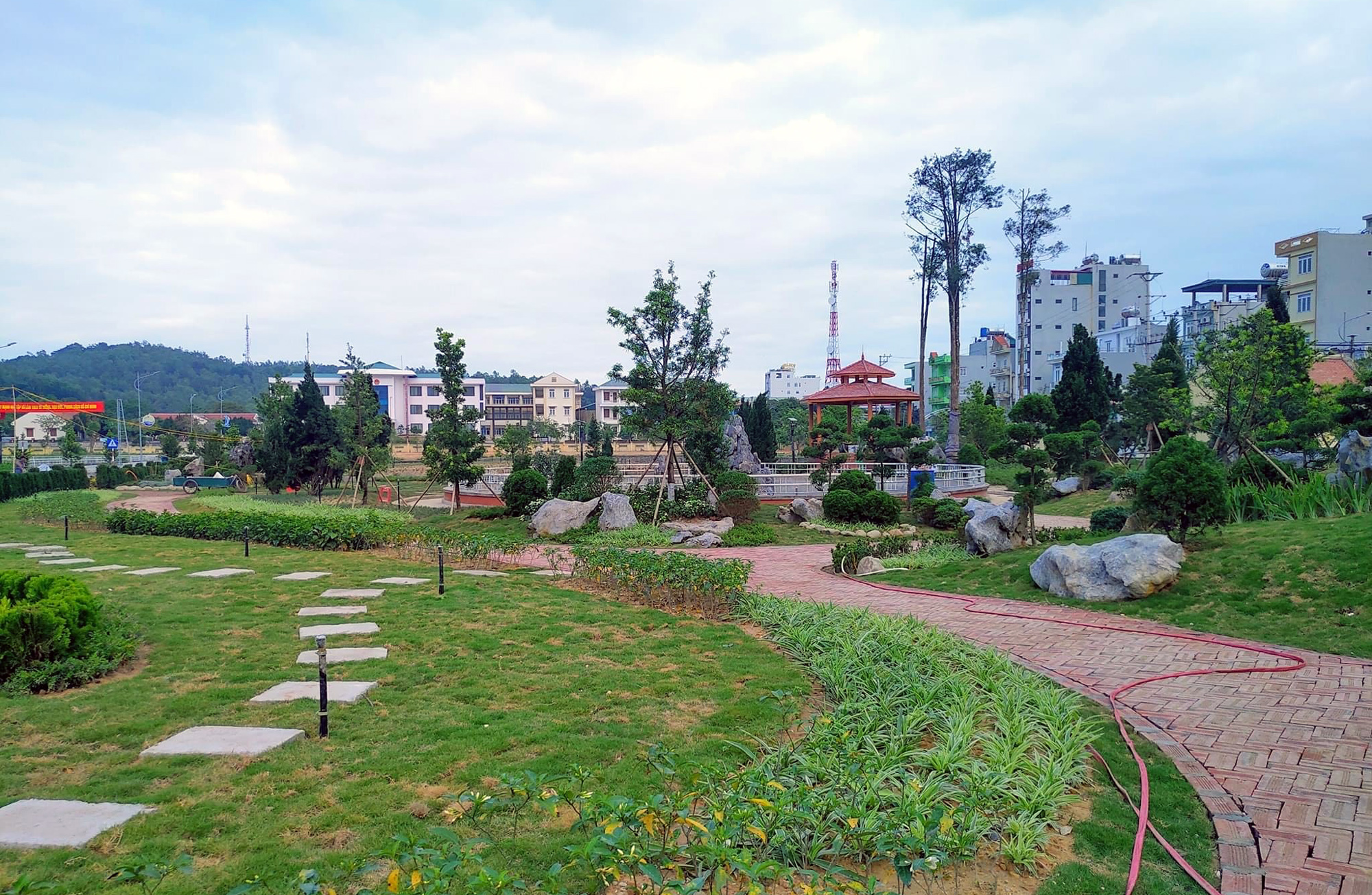 Công viên cây Tùng Cô Tô vừa được đưa vào khai thác.