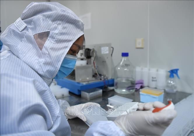 Trong ảnh: Nghiên cứu viên từ Trường đại học ở Vũ Hán, tỉnh Hồ Bắc, Trung Quốc tìm hiểu mẫu bệnh phẩm của bệnh nhân nhiễm COVID-19, tại phòng thí nghiệm của một bệnh viện dã chiến ở Vũ Hán, ngày 6/3/2020. Ảnh: THX/TTXVN