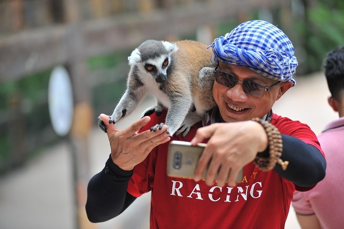 Du khách chụp cùng thú nuôi tại Safari Phú Quốc vào 17/5. Các chương trình du lịch hiện nay thường không đưa chi phí tham quan các điểm đến vào giá tour. Ảnh: Nguyễn Nam.