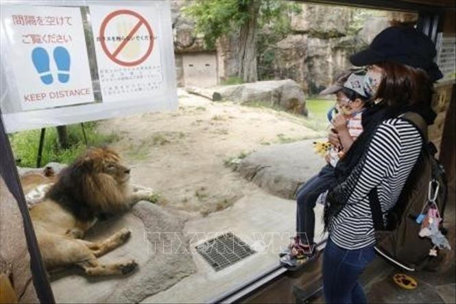 Người dân thăm vườn thú Tennoji ở Osaka, Nhật Bản, ngày 26/5/2020. Ảnh: Kyodo/TTXVN