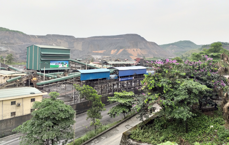 Quanh khu vực chế biến, sàng tuyển than của Công ty Than Quang Hanh được trồng cây xanh và phun nước thường xuyên, tạo cảnh quan môi trường xanh, sạch, đẹp. 