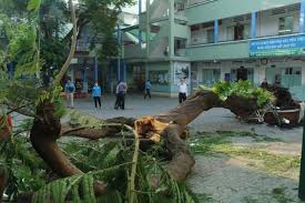 Phòng, chống tai nạn, thương tích trong môi trường học đường