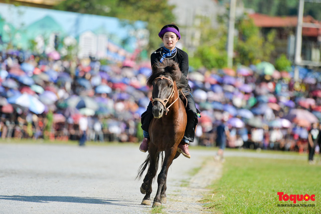 Với lần đầu tiên tham dự tuy không giành được thành tích cao nhưng nữ nài ngựa Hoàng Thị Tuyệt đã để lại nhiều ấn tượng đẹp trong khán giả, du khách và trở thành điểm nhấn của giải đua ngựa năm 2020.