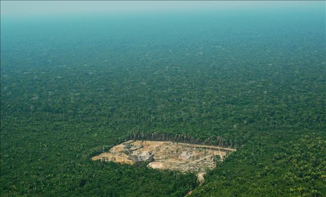 Khoảng rừng bị chặt phá ở khu vực Tây Amazon, Brazil, ngày 22/9/2017. Ảnh tư liệu: AFP/TTXVN