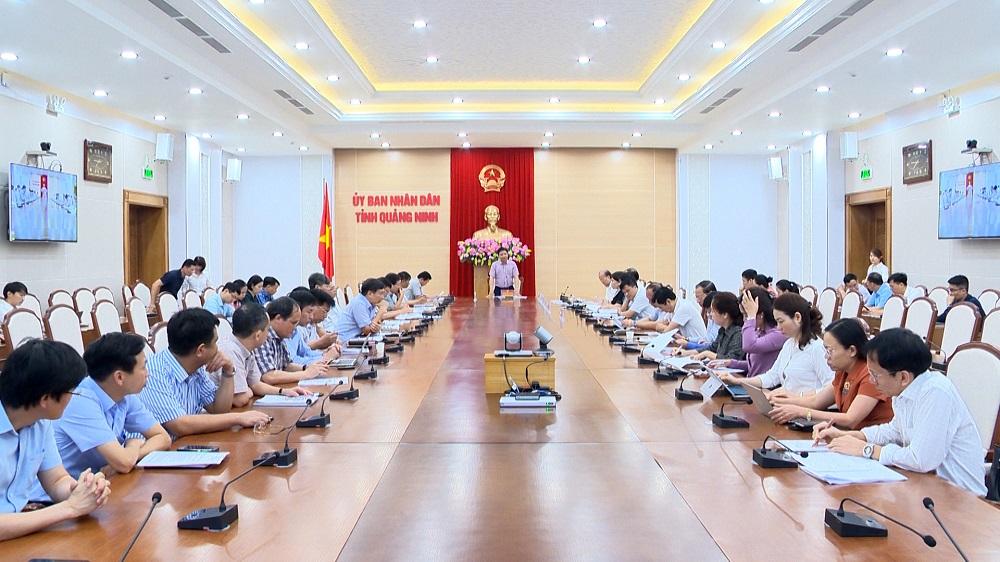 Đồng chí Nguyễn Văn Thắng, Chủ tịch UBND tỉnh kết luận hội nghị