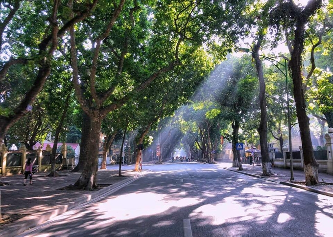 Đường Phan Đình Phùng sáng sớm bình yên với những tia nắng len lỏi qua từng tán cây. Ảnh: Ngọc Thành.