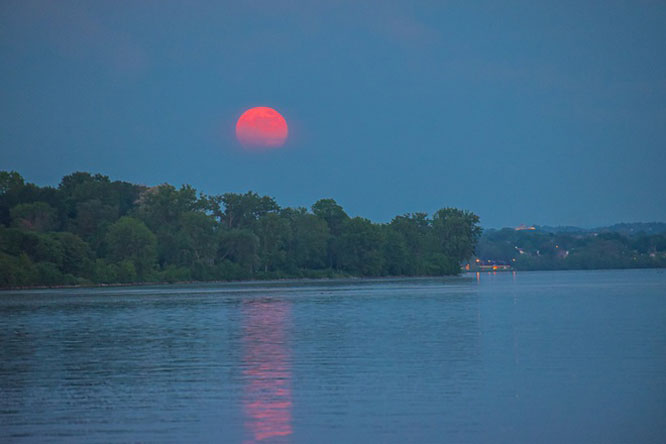 Khác với nhật thực, mọi người hoàn toàn có thể chiêm ngưỡng nguyệt thực bằng mắt thường. Đây là hình ảnh mặt trăng dâu tây giữa khung cảnh thiên nhiên tại Syracuse, New York (Mỹ). Ảnh: Sabrina.