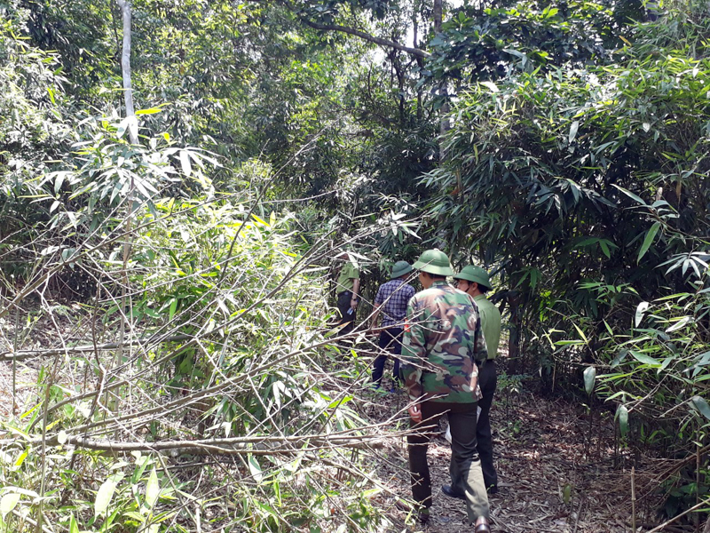 Phối hợp lực lượng trong công tác tuần tra, bảo vệ rừng.