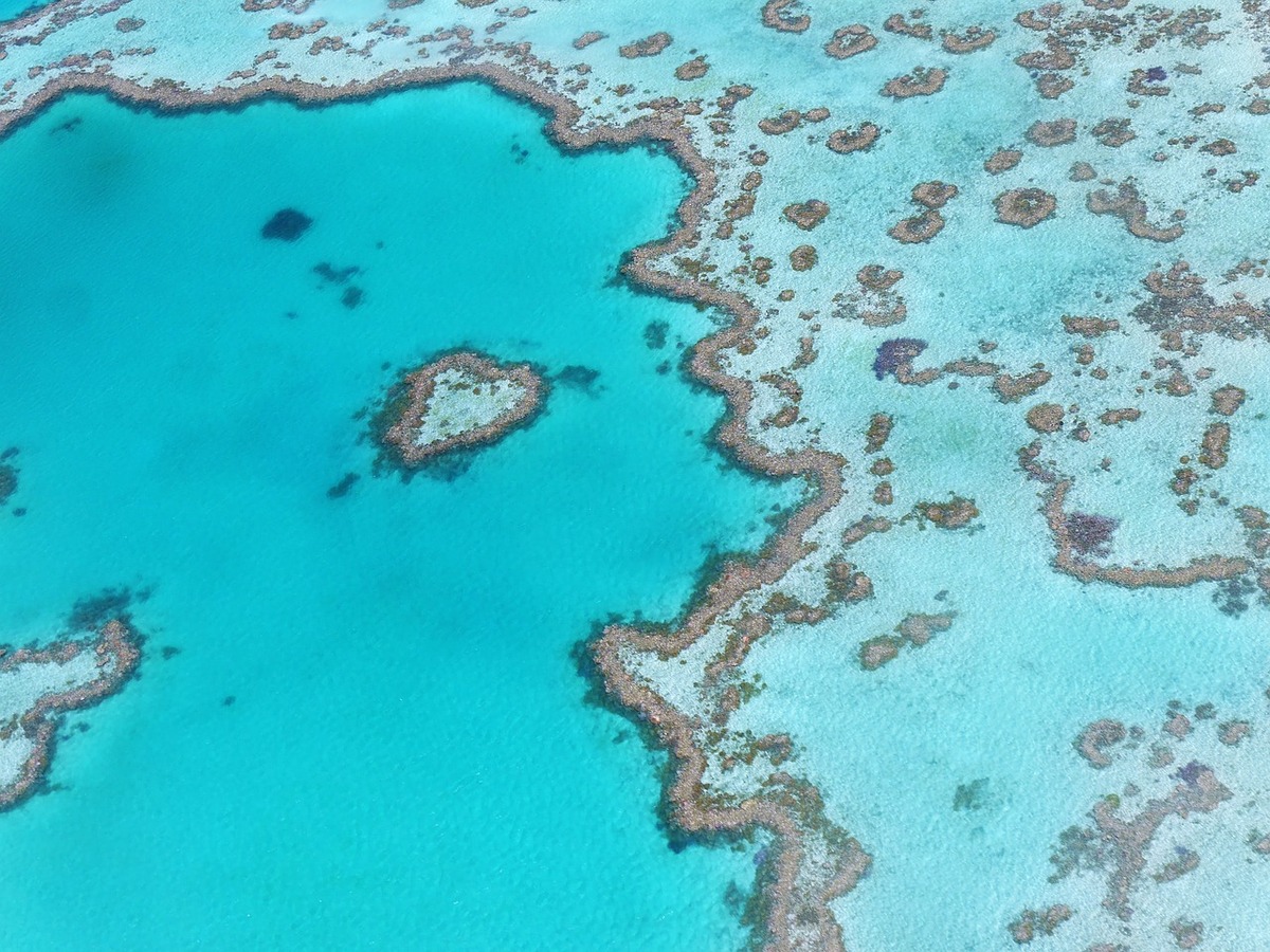 Rạn san hô Great Barrier trải dài hơn 2.000 km ngoài khơi bờ biển phía đông bắc Australia, nên đây cũng là nơi có hệ san hô lớn nhất thế giới. Thực tế, Great Barrier bao gồm 3.000 rạn san hô và là nơi có hàng trăm đảo nhiệt đới. Vì kích thước khổng lồ đó mà rạn san hô lớn nhất này chỉ có thể nhìn bao quát từ ảnh vệ tinh như Vạn Lý Trường Thành của Trung Quốc. Ảnh: Pixabay.