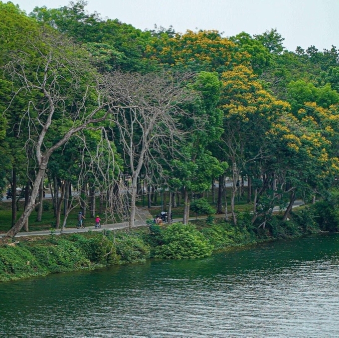 Từ trên cầu Phú Xuân, bạn có thể bắt trọn nhiều góc ảnh đẹp ở bờ Bắc, từ những tán lá xanh, cả gia đình đạp xe, tình nhân dừng chân ngồi tâm sự... 
