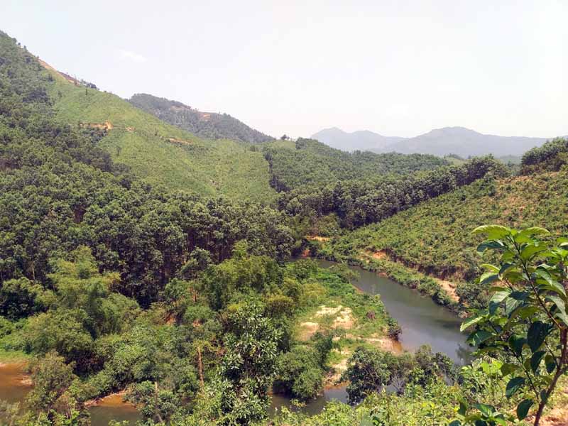 Hệ thống cây xanh khu vực đầu nguồn đập Lựng Do, xã Dương Huy (TP Cẩm Phả) được chăm sóc, bảo vệ tốt góp phần bảo vệ an toàn công trình thuỷ lợi ở khu vực hạ lưu.