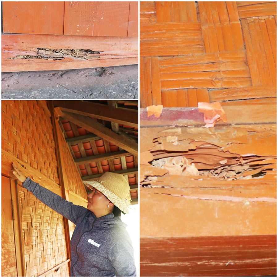 Hiện tượng các cấu kiện gỗ tại Khu bảo tồn văn hóa Dao Thanh Y Bằng Cả không bị mối mọt