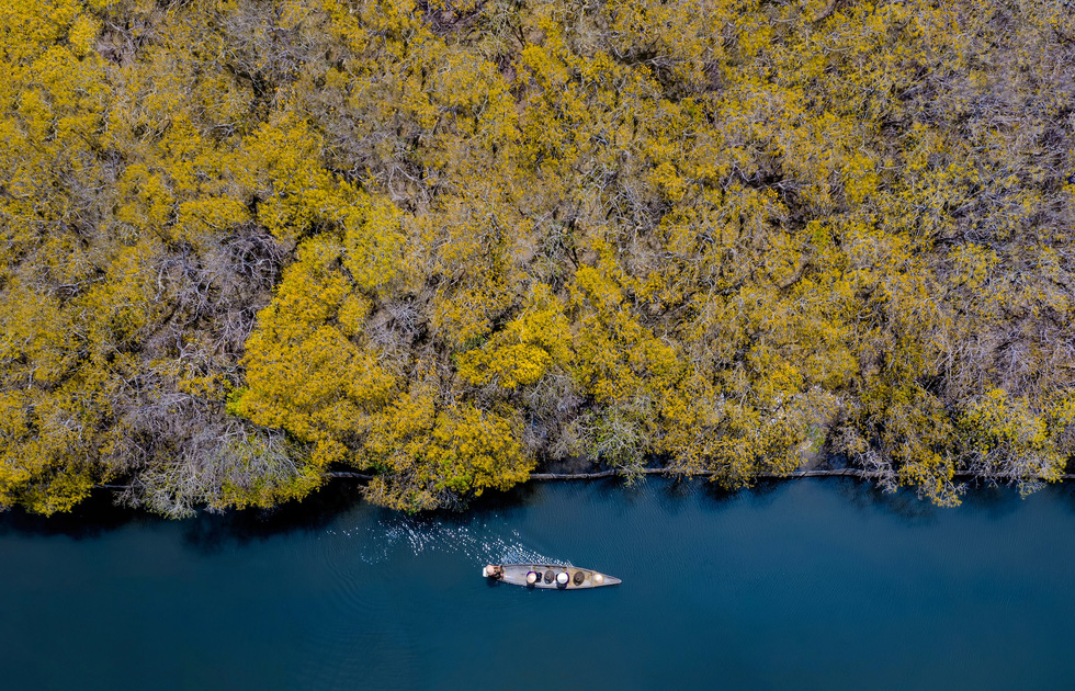 Hệ sinh thái rừng ngập mặn tại khu vực Rú Chá (Hương Trà) - Ảnh: KELVIN LONG