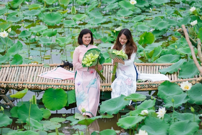 Nhiều chị em diện áo dài chụp cùng hoa sen trắng ở làng cổ Phước Tích bên bờ sông Ô Lâu - ngôi làng có tuổi đời 500 năm, được xếp hạng di tích quốc gia.