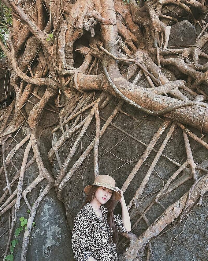 Hình ảnh rễ cây cổ thụ leo bám chằng chịt trên vách đá cũng trở thành không gian chụp ảnh của du khách. Ảnh: Instagram/kittymy95.