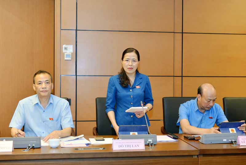 Đồng chí Đỗ Thị Lan, Uỷ viên Thường trực Uỷ ban các vấn đề xã hội của Quốc hội, ĐBQH tỉnh Quảng Ninh phát biểu thảo luận.