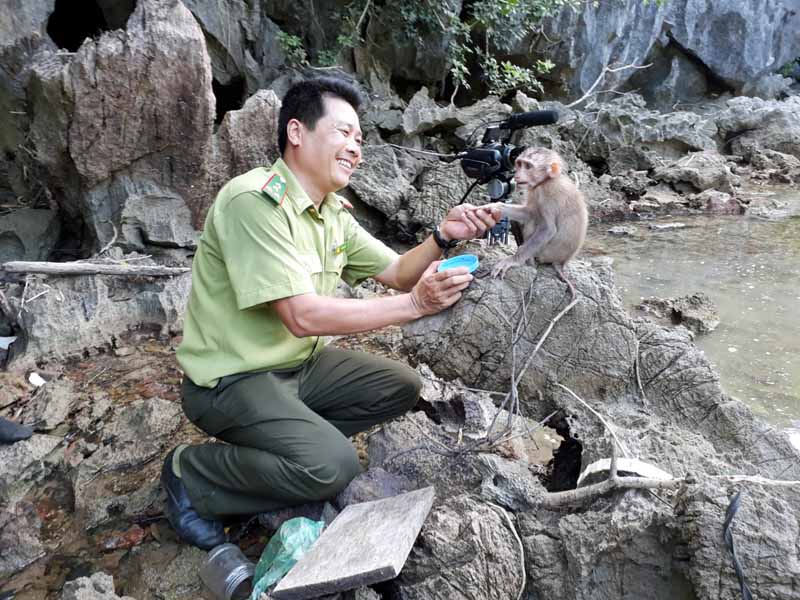 Khỉ đuôi dài trong Vườn Quốc gia Bái Tử Long khá thân thiện, gần gũi với con người.