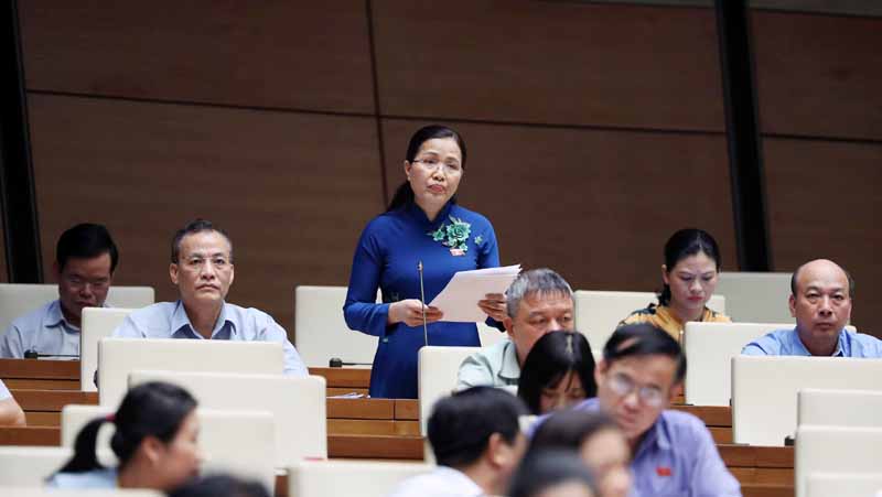 Đồng chí Đỗ Thị Lan, Uỷ viên Thường trực Uỷ ban các vấn đề xã hội của Quốc hội, ĐBQH tỉnh Quảng Ninh phát biểu tại phiên thảo luận. 