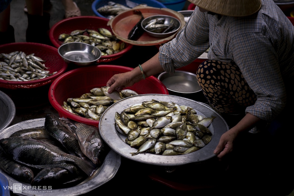 Các hải sản tươi ngon tại chợ làng Chuồn. Ở đây đa dạng các loài cá rô phi, cá kình (ảnh), cá đối, cá ong, cá dìa, cá hanh, cá bống hay cá vược. Chúng được đánh bắt tự nhiên và một số loài được nuôi trong những chắn sáo.