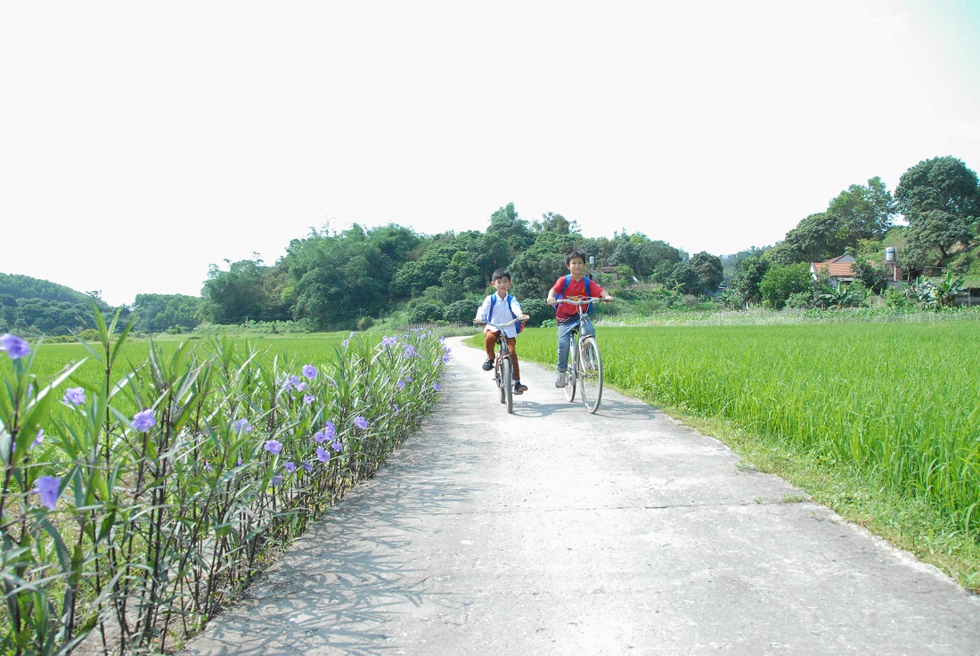 Phong trào thi đua chung sức xây dựng NTM đã tạo ra những con đường hoa sạch - đẹp như ở thôn Đài Mỏ, xã Vạn Yên, huyện Vân Đồn.