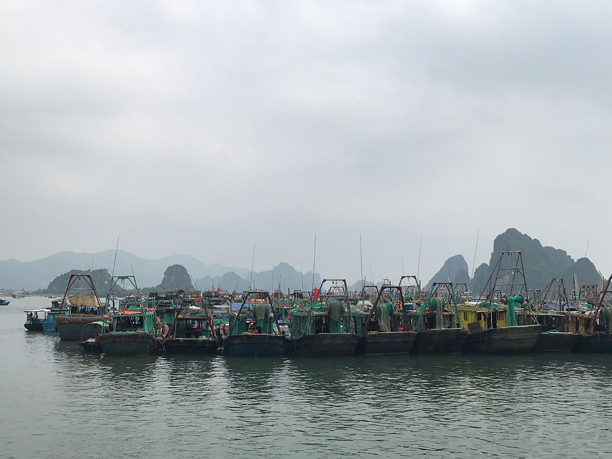 Các phương tiện đánh bắt thuỷ hải sản có công suất nhỏ đỗ thành hàng dài trong vùng nước của cảng tầu khách Cái Rồng. 