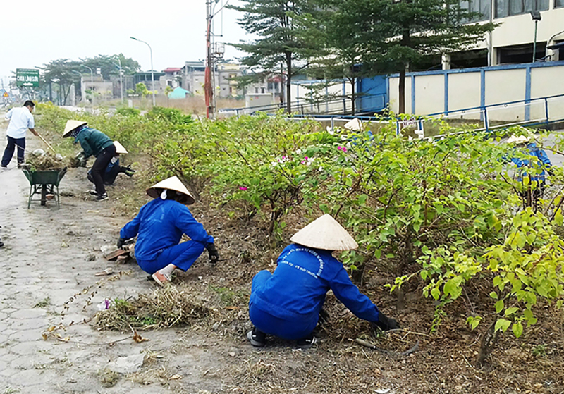 Người dân phường Yên Thanh trồng cây xanh trong 