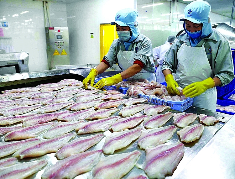 Ngành thủy sản cần chuẩn hóa quy trình để xuất khẩu thành công sang EU