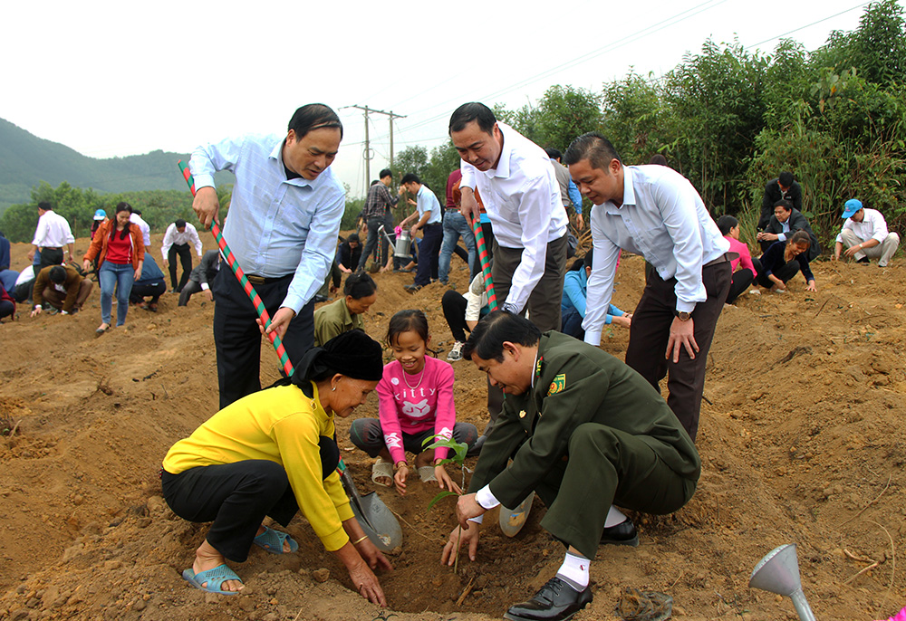 Mô hình trồng rừng gỗ lớn ở thôn Đồng Loong, xã Thanh Lâm.